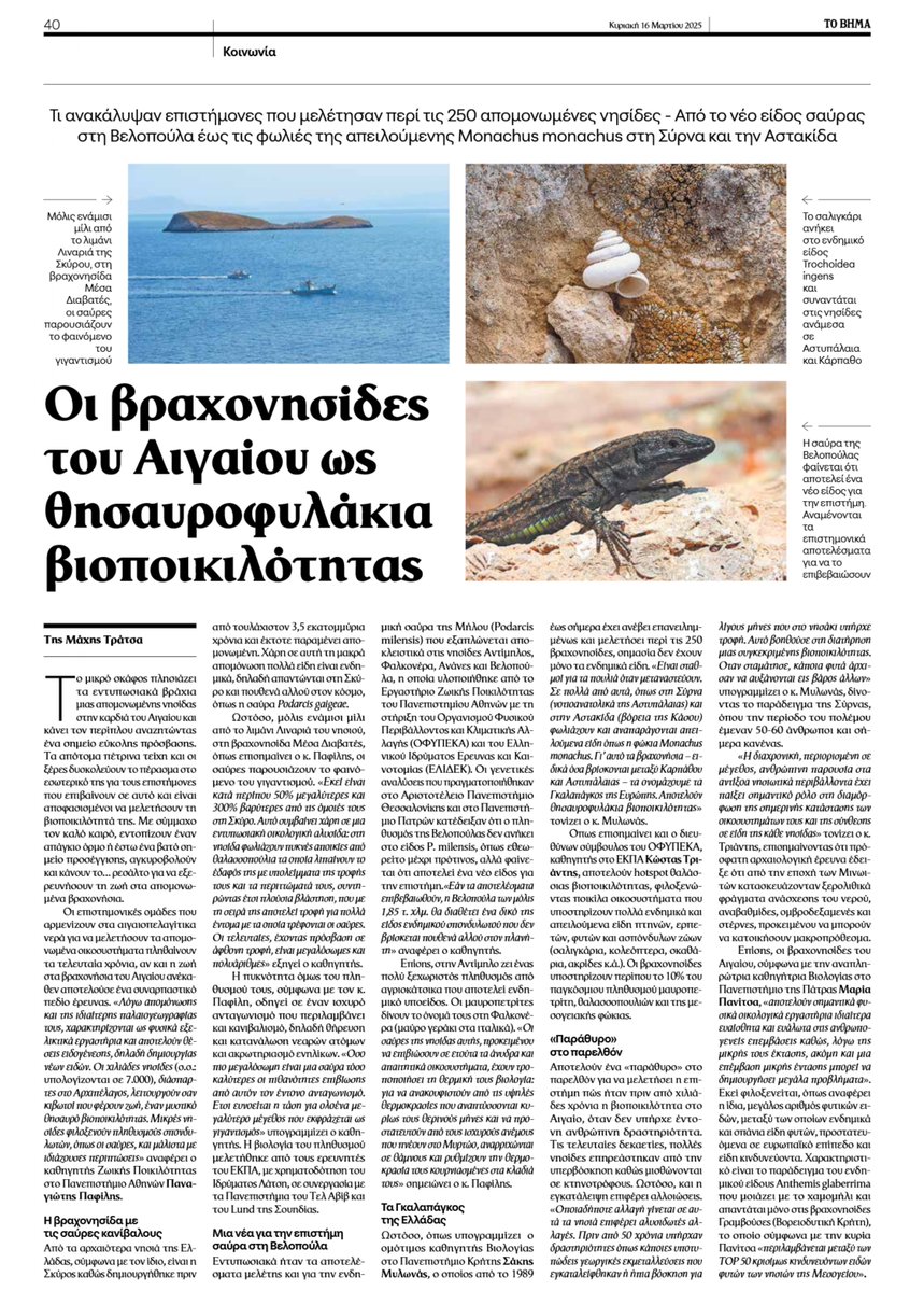 Οι Βραχονγσιδες του Αιγίου